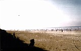 3eme TOUQUET 27 Fevrier 1977 (11)